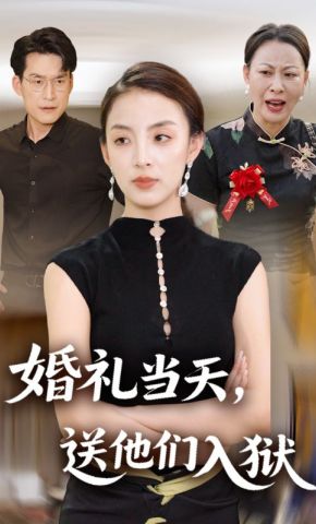 短剧《婚礼当天，送他们入狱》海报