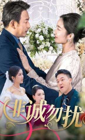短剧《非诚勿扰》海报