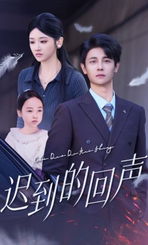 短剧《迟到的回声》海报
