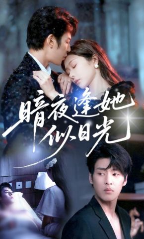 短剧《暗夜逢她似日光》海报
