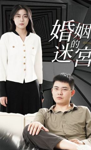 短剧《婚姻的迷宫》海报