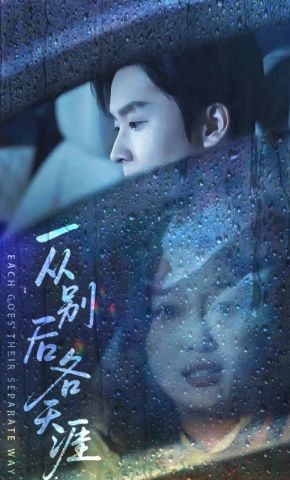 短剧《一从别后各天涯》海报