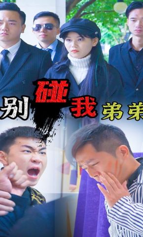 短剧《别碰我弟弟》海报