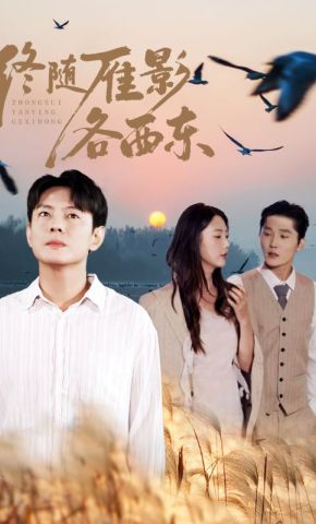 短剧《终随雁影各西东》海报