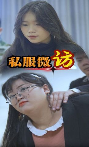 短剧《私服微访》海报