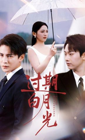 短剧《过期白月光》海报