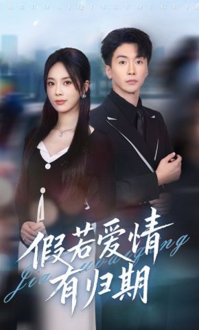 短剧《假若爱情有归期》海报