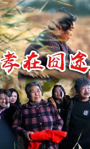 短剧《孝在囧途》海报