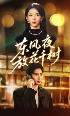 短剧《东风夜放花千树》海报
