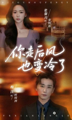 短剧《你走后风也变冷了》海报