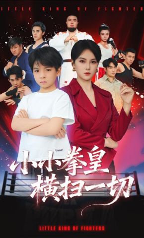 短剧《小小拳皇横扫一切》海报