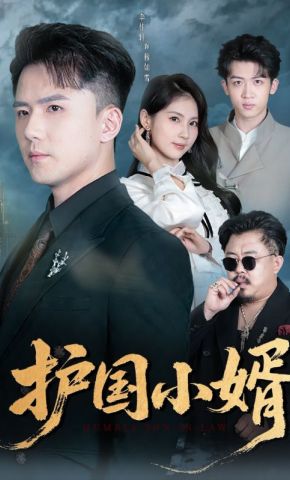 短剧《护国小婿》海报