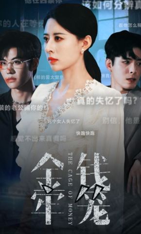 短剧《金钱牢笼》海报