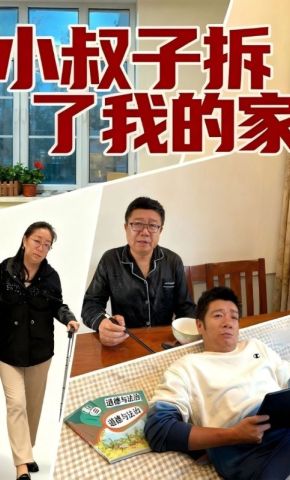 短剧《小叔子拆了我的家》海报