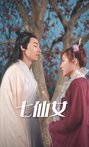 短剧《七仙女》海报