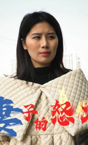短剧《妻子的怒火》海报