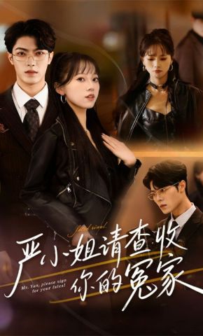 短剧《严小姐请查收你的冤家》海报