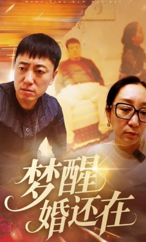 短剧《梦醒婚还在》海报