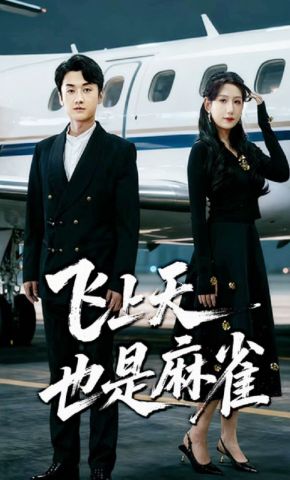 短剧《飞上天也是麻雀》海报