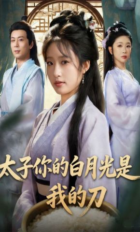 短剧《太子你的白月光是我的刀》海报