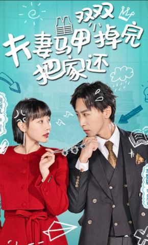 短剧《夫妻马甲掉完双双把家还》海报