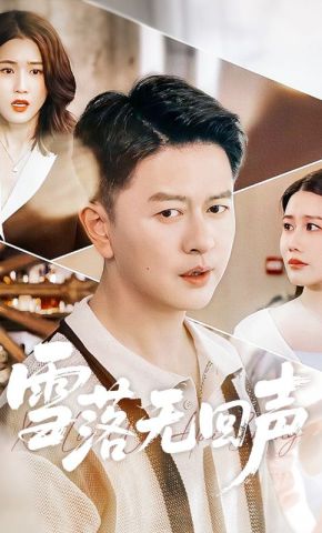 短剧《雪落无回声》海报