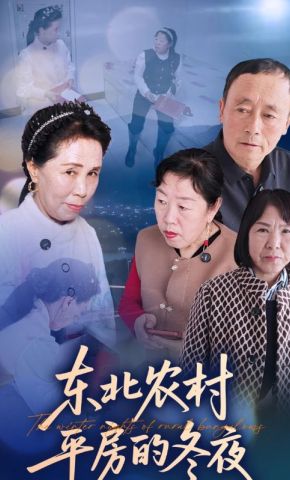 短剧《东北农村平房的冬夜》海报