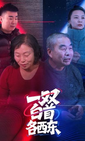短剧《一双白首各西东》海报