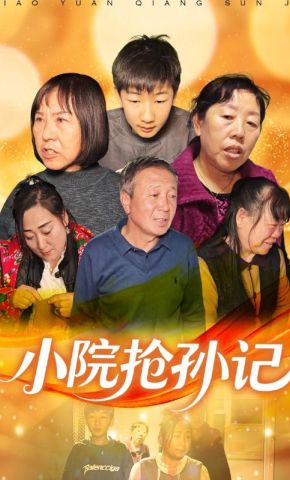 短剧《小院抢孙记》海报
