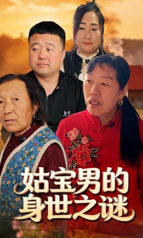 短剧《姑宝男的身世之谜》海报
