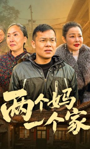 短剧《两个妈一个家》海报
