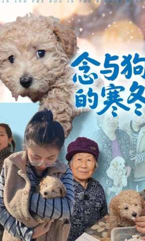 短剧《念与狗的寒冬》海报