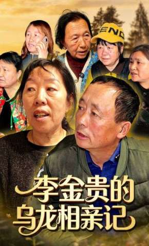 短剧《李金贵的乌龙相亲记》海报