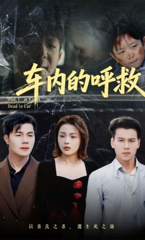 短剧《车内的呼救》海报