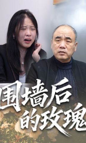 短剧《围墙后的玫瑰》海报