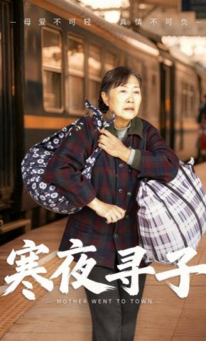 短剧《寒夜寻子》海报