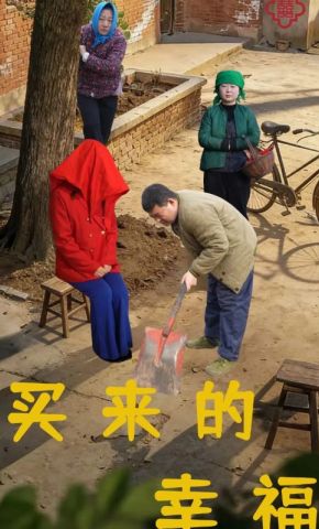 短剧《买来的幸福》海报