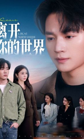 短剧《离开你的世界》海报