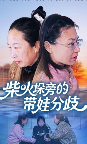 短剧《柴火垛旁的带娃分歧》海报