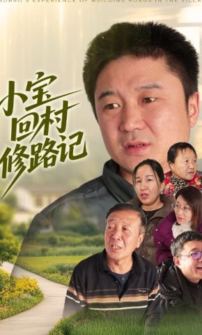 短剧《小宝回村修路记》海报