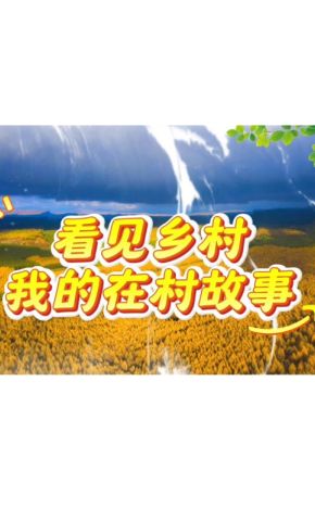 短剧《看见乡村，我的在村故事》海报