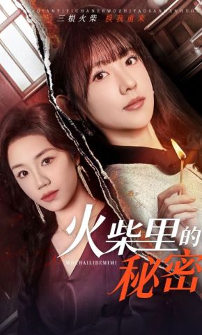 短剧《火柴里的秘密》海报