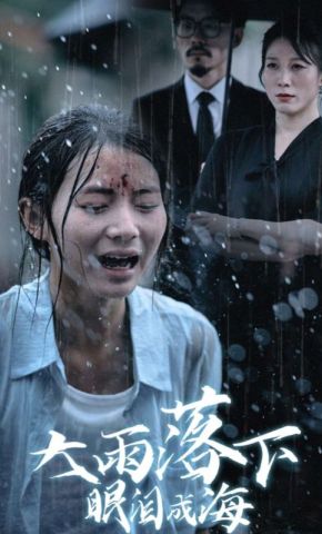 短剧《大雨落下眼泪成海》海报