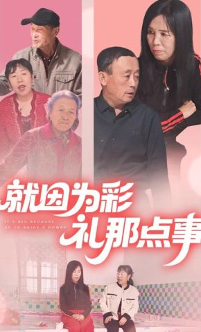 短剧《就因为彩礼那点事》海报