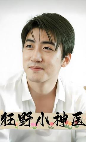 短剧狂野小神医海报