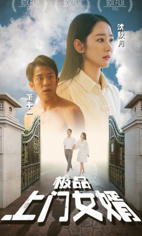 短剧《极品上门女婿》海报