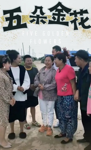 短剧五朵金花海报