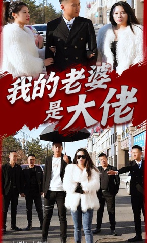 短剧《我的老婆是大佬》海报