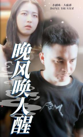 短剧晚风唤人醒海报