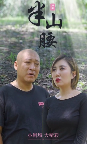 短剧《半山腰》海报